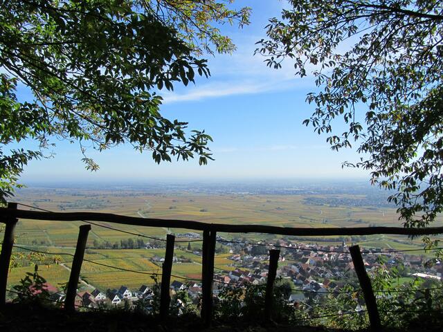 Blick auf Frankweiler, aufgenommen im Oktober