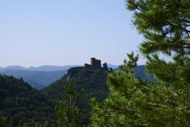 Blick auf die Burg Trifels vom Slevogtfelsen, Sept. 21 | Foto: Florian Bauer 