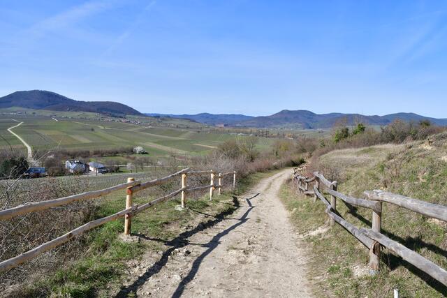 Foto: Heike Geißler