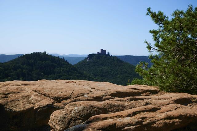 Blick auf die Burg Trifels vom Slevogtfelsen | Foto: Florian Bauer