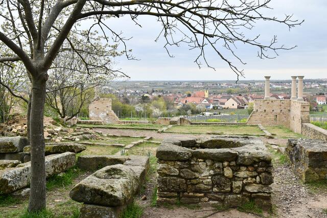 Foto: Heike Geißler