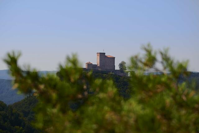 Blick auf die Burg Trifels vom Slevogtfelsen, Sept.21 | Foto: Florian Bauer