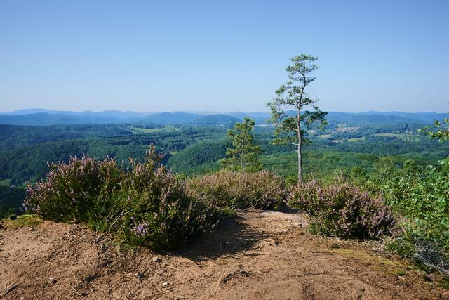 kleiner Hahnstein im September, perfekt für die Ruhe und Aussicht zu genießen | Foto: Florian Bauer 