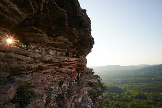  Morgenstimmung am Rötzenfelsen, Sept.21 | Foto: Florian Bauer