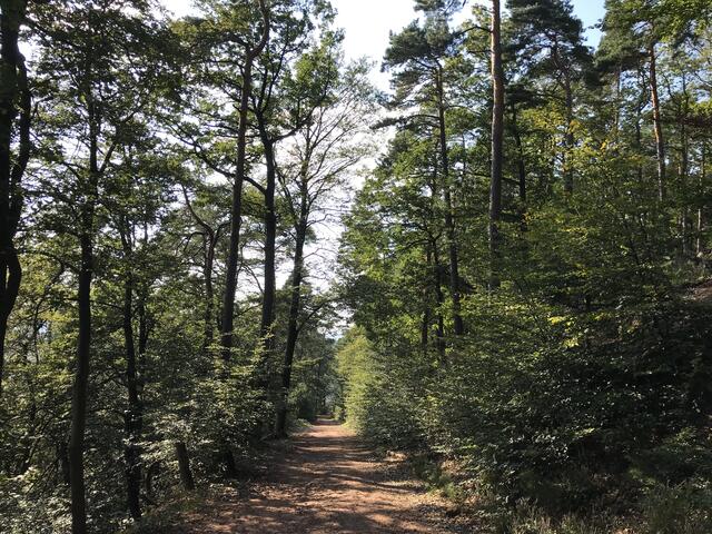 Gemächlicher Abstieg | Foto: B. Bender