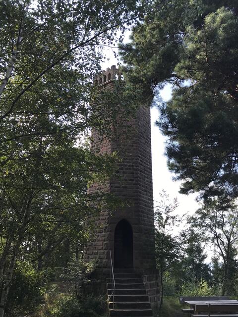 Der Rehbergturm ragt über die Bäume hinaus | Foto: B. Bender