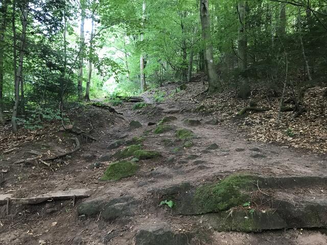 Weg links hinauf vom Parkplatz | Foto: B. Bender