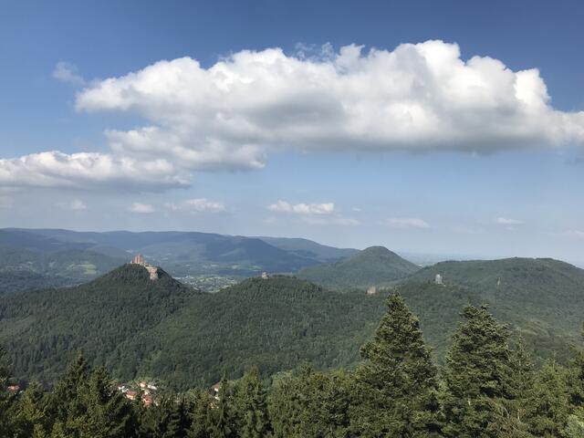 360 Grad Rundumblick | Foto: B. Bender