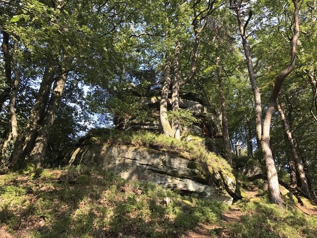 Fels kurz vor dem Rehbergturm | Foto: B. Bender