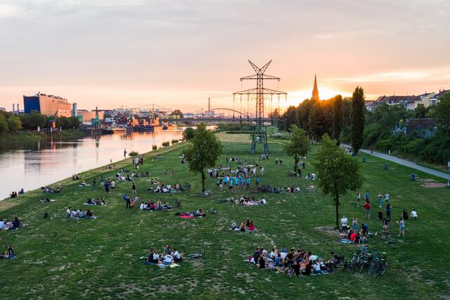 Urban Impressions Mannheim: Die Neckarwiese in der Neckarstadt | Foto: Christian Gaier