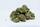 Bei Wohnungsdurchsuchung in Zweibrücken Cannabis sichergestellt / Symbolbild | Foto: gjbmiller/pixabay.com
