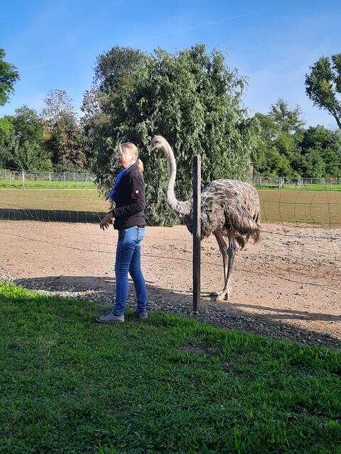 Gästeführerin Iris Straußenfarm Mhou