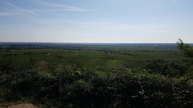 Foto: SSC-Lingenfeld