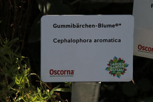 Da stand nur noch das Schild ;-) | Foto: Franz Walter Mappes