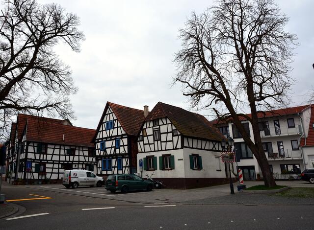 21. März 2017 | Foto: A. Abt