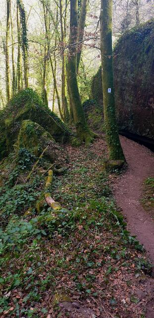 Der Teufelspfad | Foto: Jens Vollmer