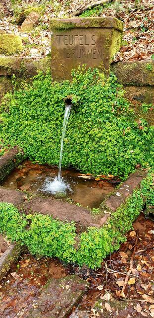 Der Teufelsbrunnen auf dem Teufelspfad | Foto: Jens Vollmer