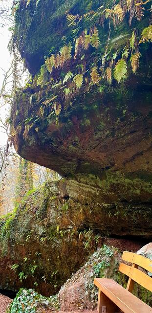 Sitzbank am Haspelfels | Foto: Jens Vollmer