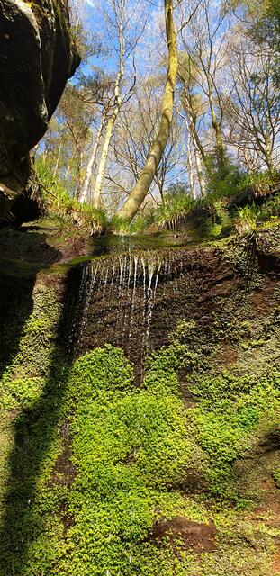 Wasserfall am Teufelsfels | Foto: Jens Vollmer