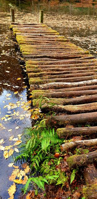 Der Steg am Fischweiher ist beliebtes Fotomotiv des Teufelspfad | Foto: Jens Vollmer