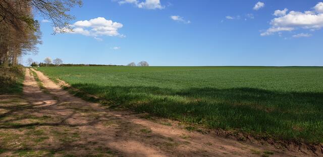 Freier Blick über Wiesen und Felder bietet der Teufelspad bevor der Weg sich  wieder ins Tal schlängelt | Foto: Jens Vollmer