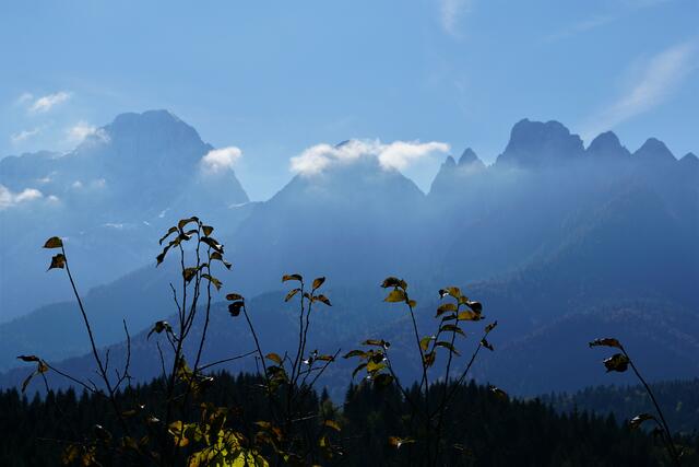Foto: Markus Pacher