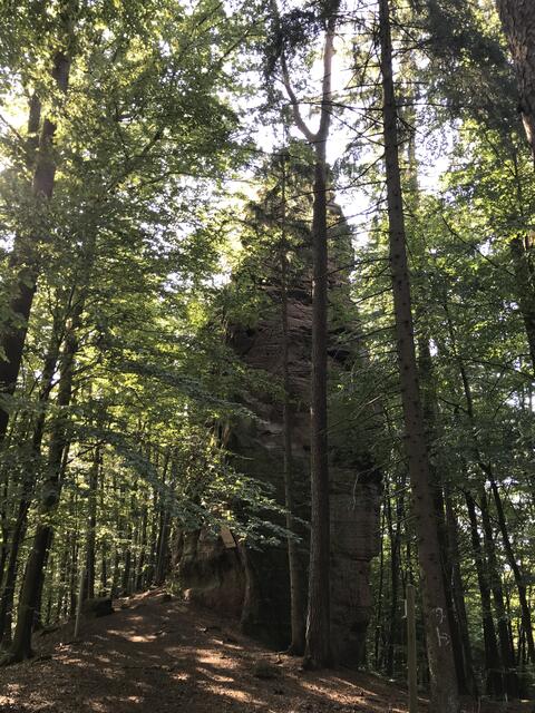 Der Erlenbacher Turm | Foto: B. Bender
