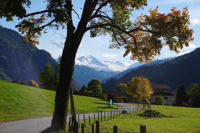Foto: Markus Pacher