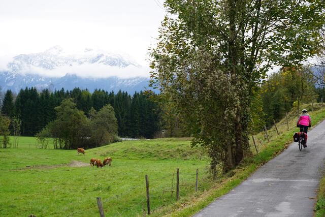 Foto: Markus Pacher