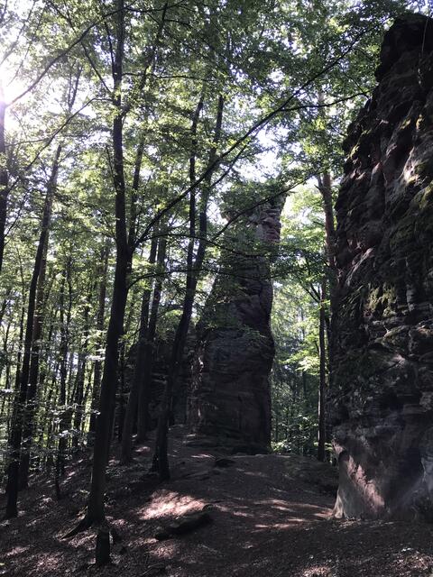 Stehen in Reih und Glied die "Sieben Brüder" | Foto: B. Bender