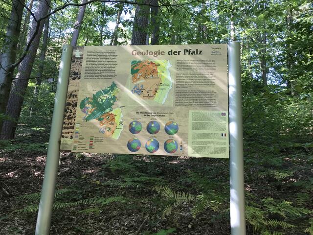 Bebildertes Wissen | Foto: B. Bender