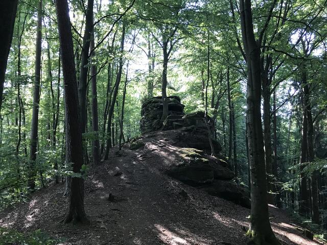 Der Stuhl | Foto: B. Bender