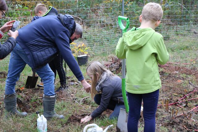 Die Weingartener Baumpaten schreiten zur Tat - Familien pflanzen Bäume für ihre Kinder und Enkelkinder - und halten den Moment auf einem Foto oder Video für die Ewigkeit fest | Foto: Heike Schwitalla