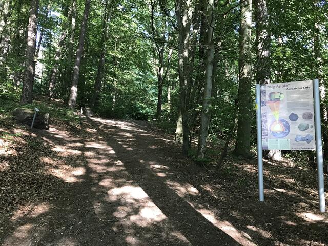 Auf geht's in den Wald | Foto: B. Bender