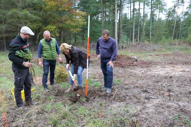 Julia Klöckner, Bundesministerin für Ernährung und Landwirtschaft, beim Pflanzen "ihrer" Zerreiche | Foto: Heike Schwitalla