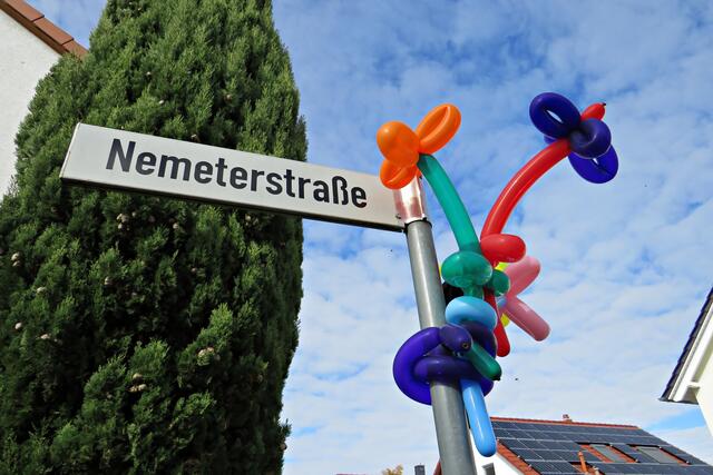 Hier gibt's was zu entdecken | Foto: Brigitte Melder