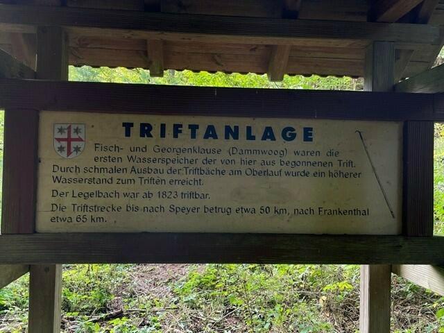Foto: Verena König