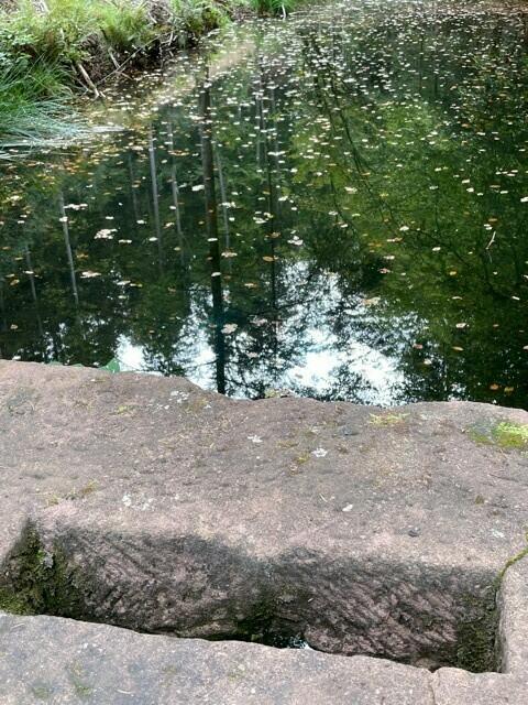 Foto: Verena König