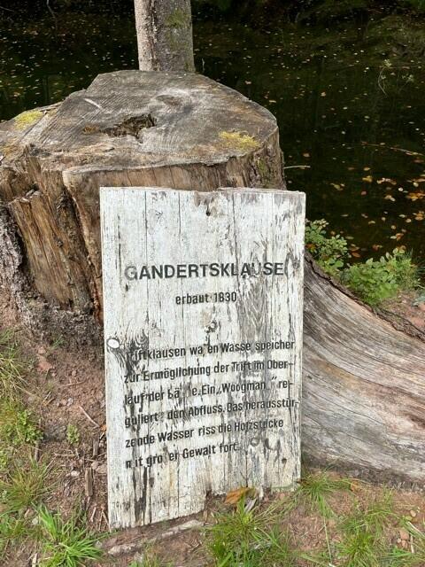 Foto: Verena König