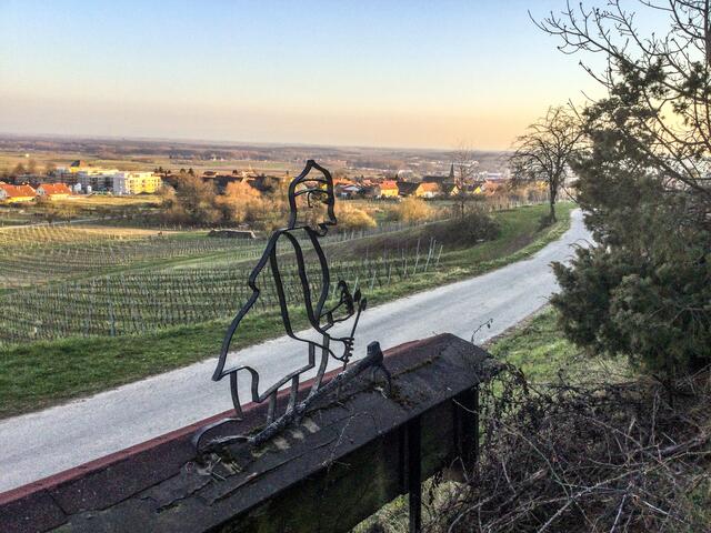 Winzer bei der Arbeit | Foto: ©