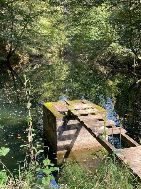 Foto: Verena König