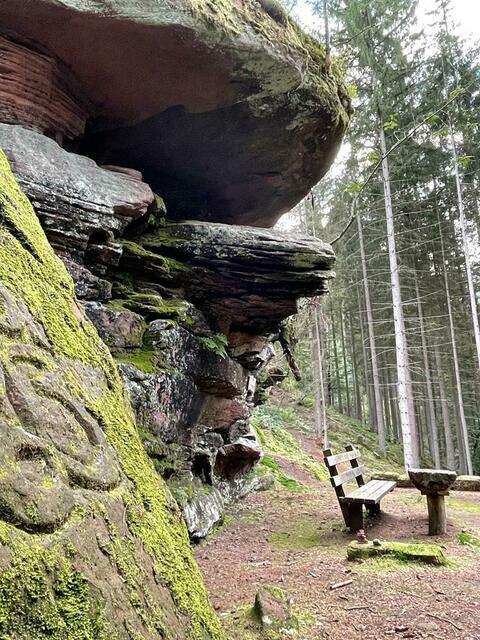 Foto: Verena König
