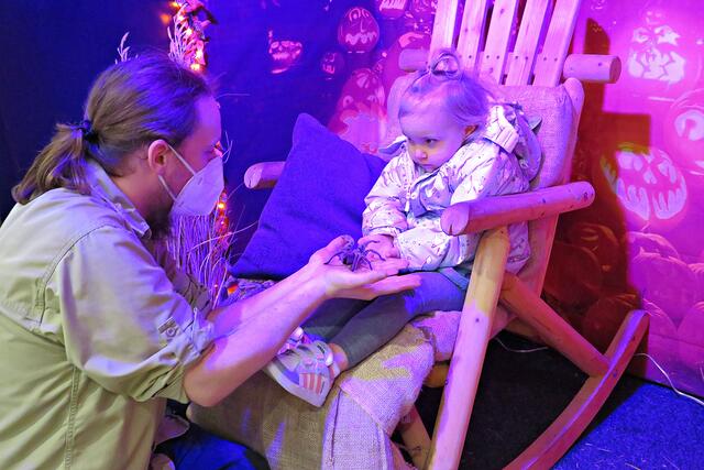 Mutiges kleines Mädchen: Emma-Marie | Foto: Brigitte Melder