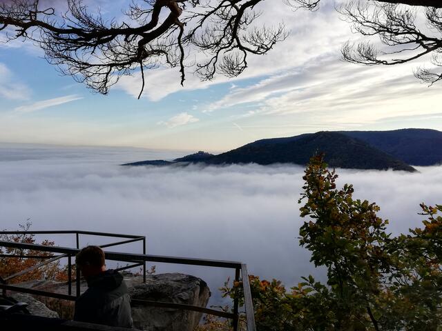 Foto: Elke Schlimbach