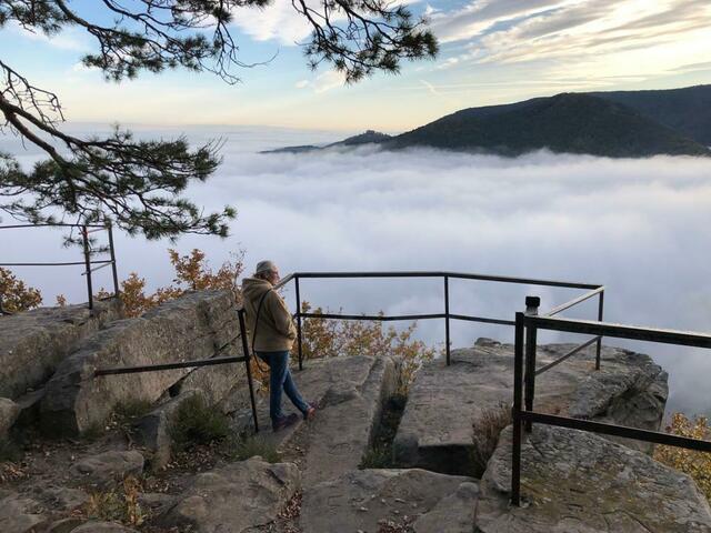 Foto: Elke Schlimbach