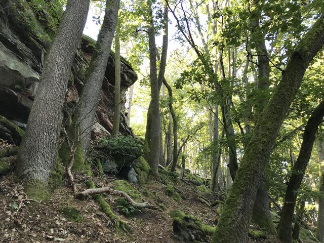 Der Aufstieg an der Nordseite ist ein wenig beschwerlich | Foto: B. Bender