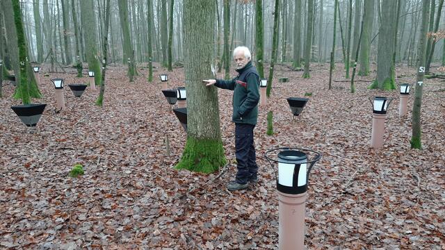 Was wird hier alles gemacht? Hans-Werner Schröck führt durch die Landesforsten-Messstation in Merzalben (Südwestpfalz). In den Rohren wird der Niederschlag gemessen, in den viereckigen Trichtern herabfallendes Laub und der Umfang der Stämme wird per Maßband ermittelt. Diese Reportage war Teil unserer Reihe "Das geht uns alle an", die im Winter 2020 den Wald als Thema hatte. (https://www.wochenblatt-reporter.de/rodalben/c-ratgeber/die-auswirkungen-des-klimawandels-auf-den-pfaelzerwald_a254429) | Foto: Tim Altschuck