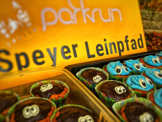 Nach dem Lauf ist vor dem Lauf. Daher gibt es auch fast immer ein Picknick mit Kaffee NACH dem Lauf :-) | Foto: Leinpfad Speyer parkrun