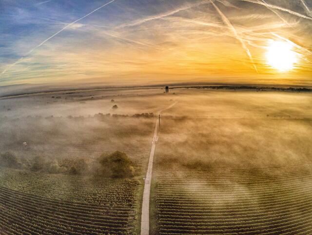 Aufziehender Herbstnebel Blick Richtung Wasserturm Duttweiler am frühen Morgen des 1.Oktober. 