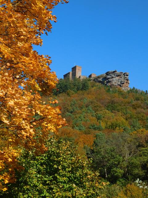 Burg Trifels von Bindersbach